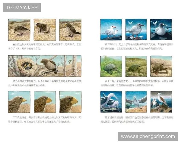 足球世界杯历史发展：历届冠军球队的兴衰变迁与背后原因探讨