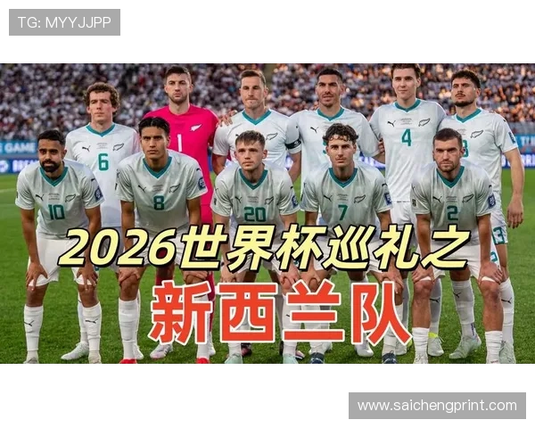 2026年世界杯伊朗队与新西兰队伤停名单详细分析与最新更新情况